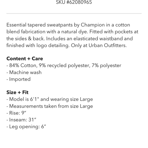 Champion UO exclusive national state sweatpants - Picture 4 of 5